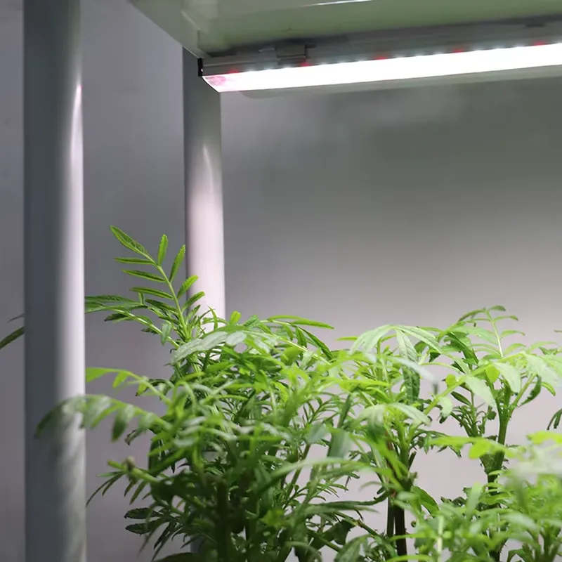Self Watering Planter - Передвижная вертикальная трехуровневая система для выращивания