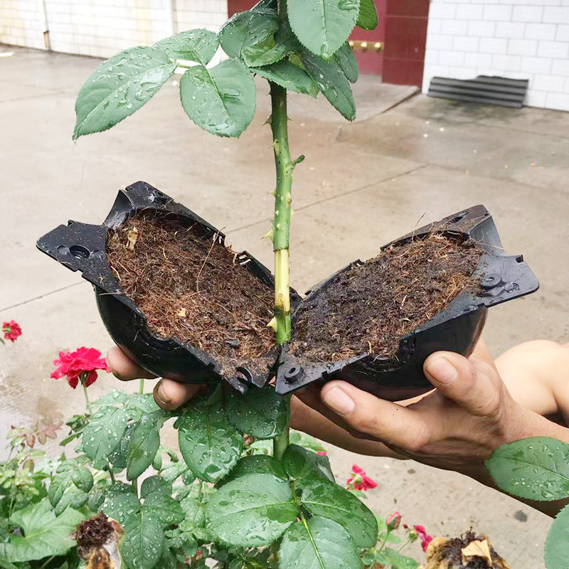 Seed Starter Tray - Шарик для укоренения растений, ящик для