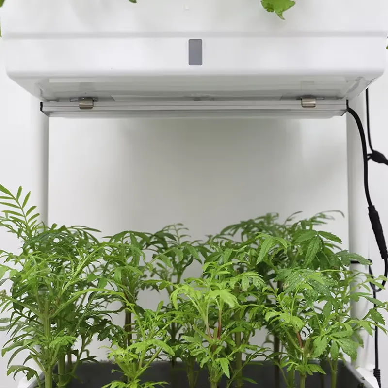 Передвижная вертикальная треху – обзор и цена Self Watering Planter