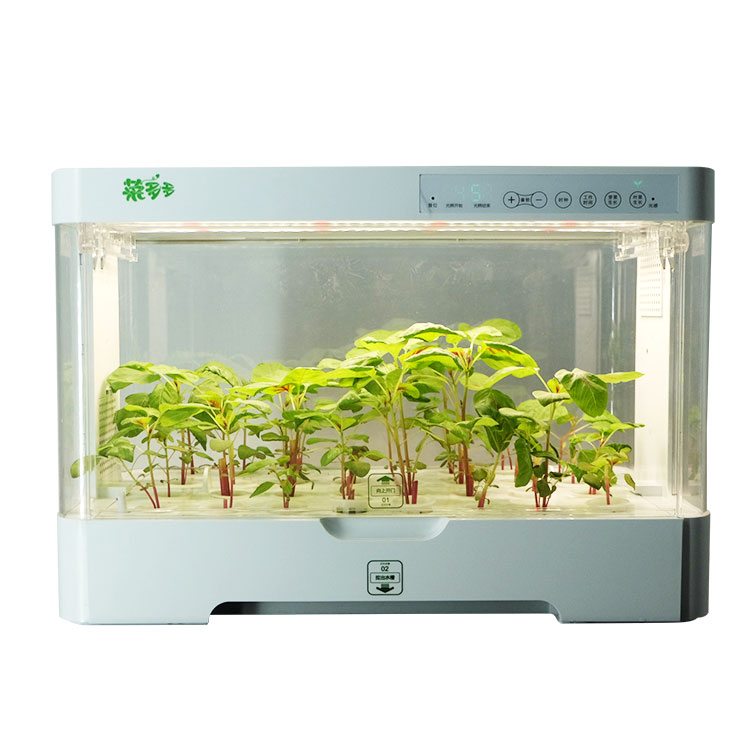 Маленький умный пластиковый шк – обзор и цена Hydroponic Kit