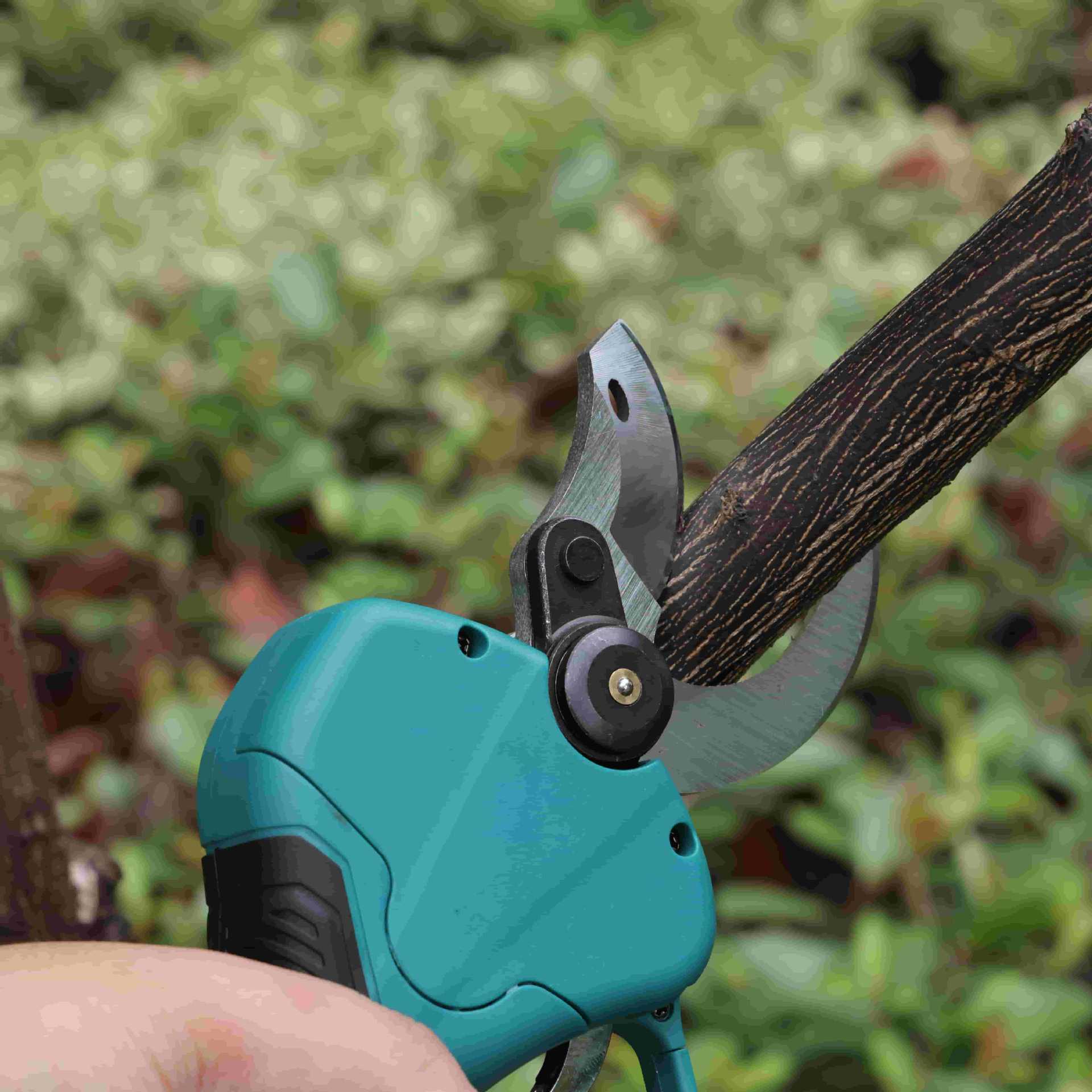 Высокопроизводительные садовые – обзор и цена Pruning Shears