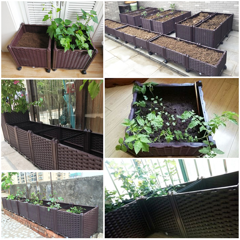 Грядка с системой автоматическ – обзор и цена Indoor Herb Garden