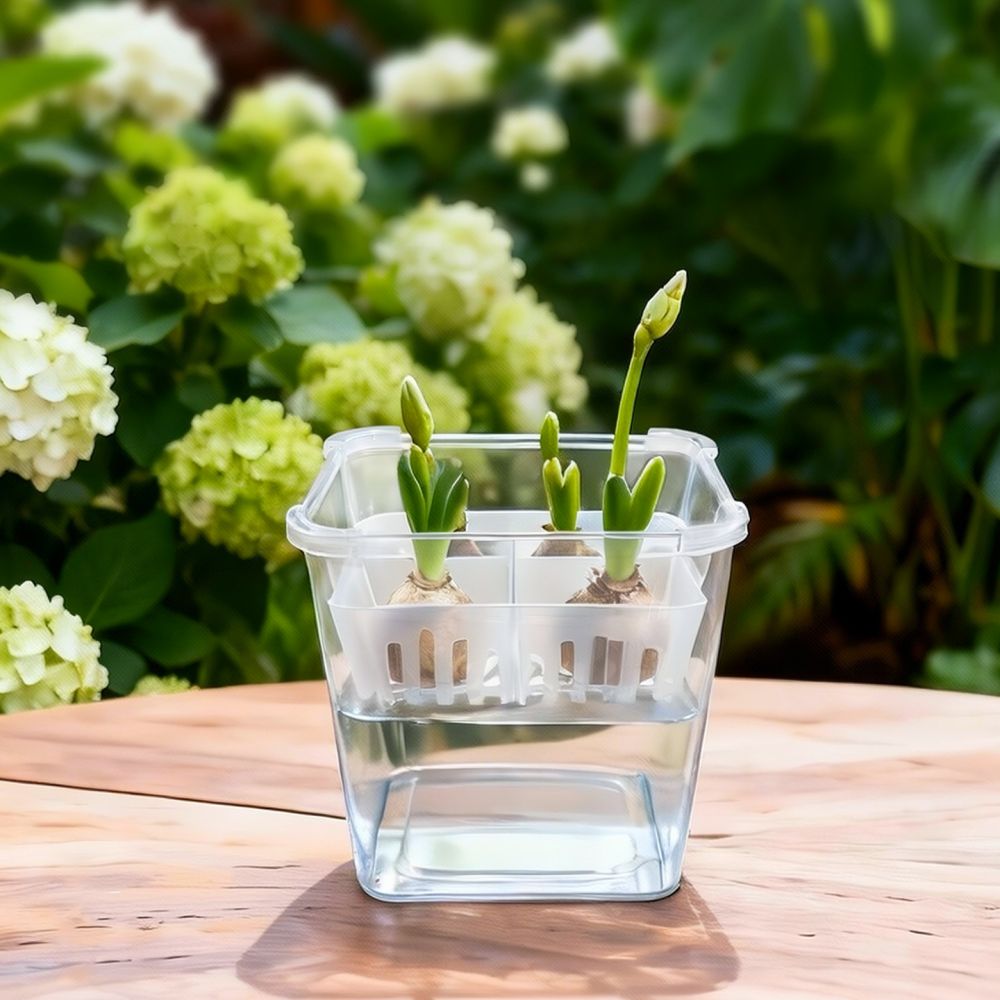 Гидропонная ваза для тюльпанов – обзор и цена Plant Pot