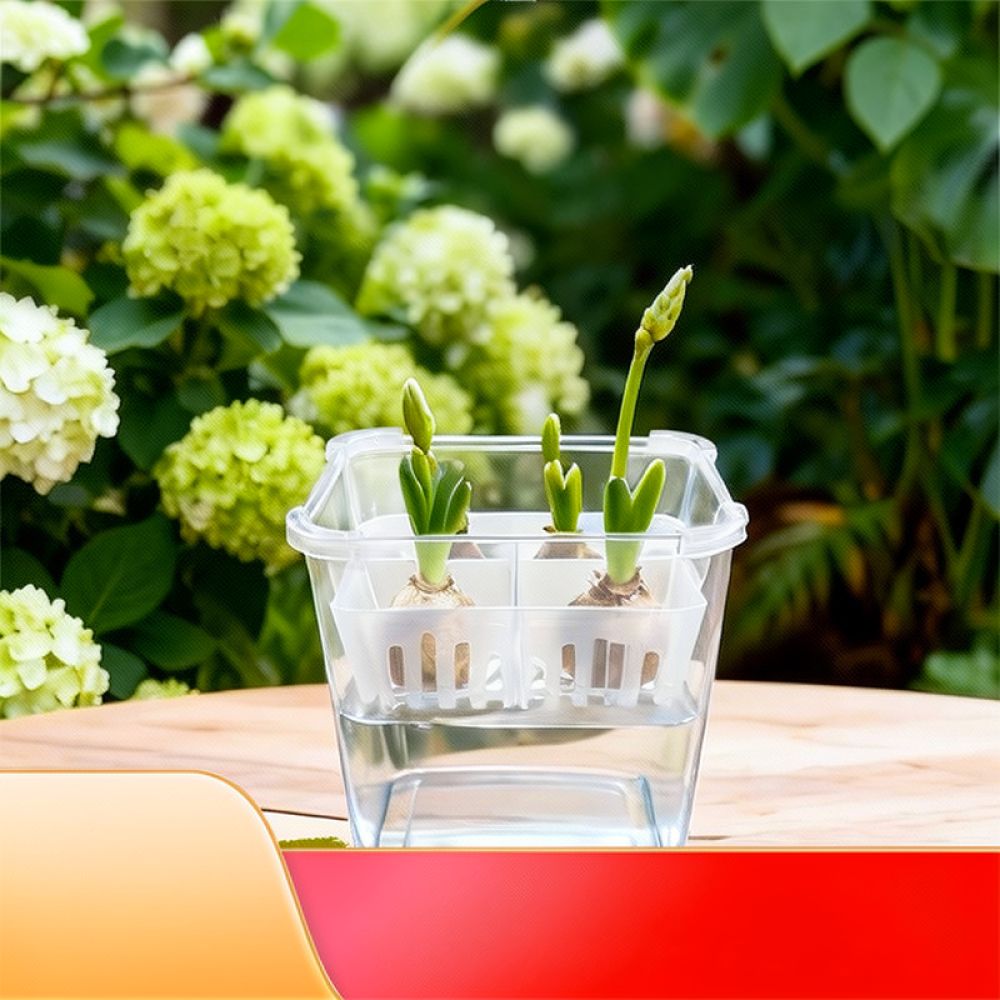 Гидропонная ваза для тюльпанов – обзор и цена Plant Pot