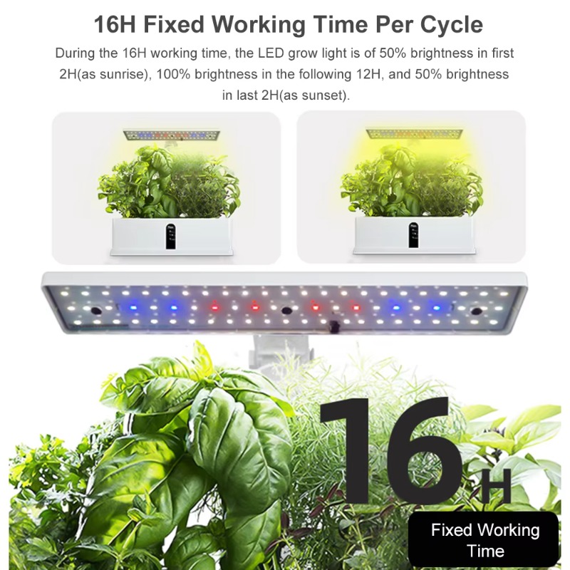 9-секционная умная гидропонная – обзор и цена Hydroponic Kit