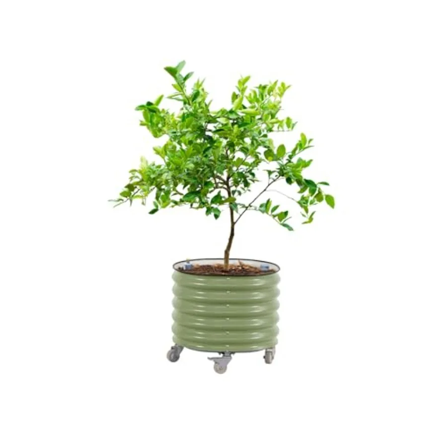 Круглые большие кашпо для цитр – обзор и цена Self Watering Planter