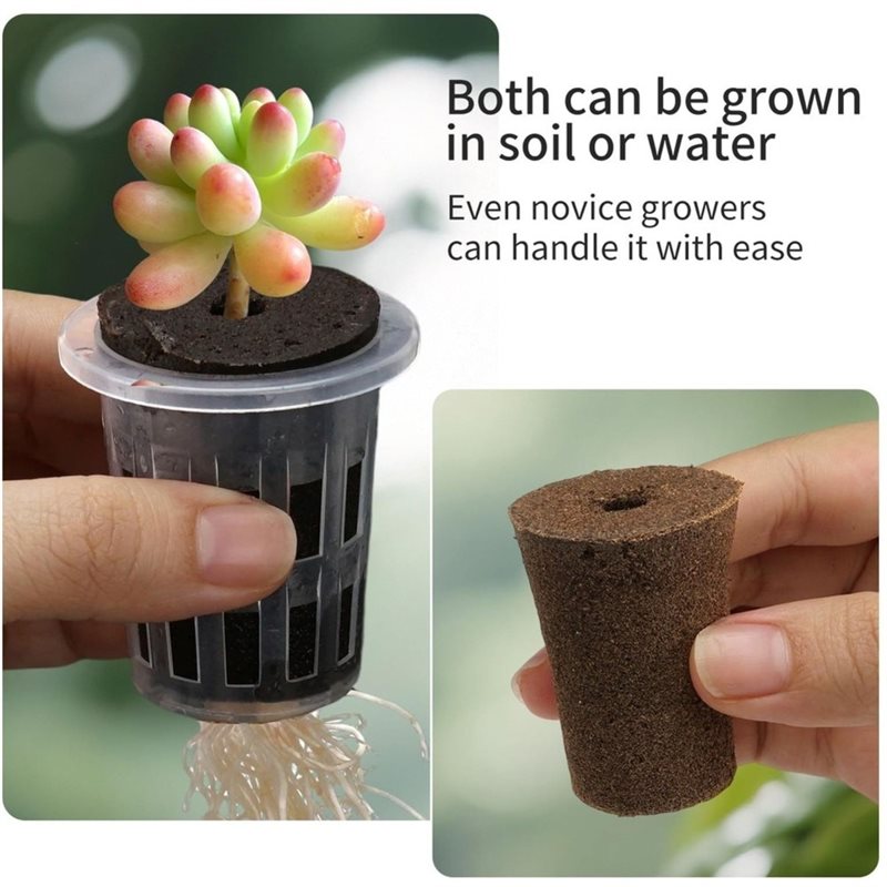 [ABFI!] Настольная теплица для – обзор и цена Hydroponic Kit