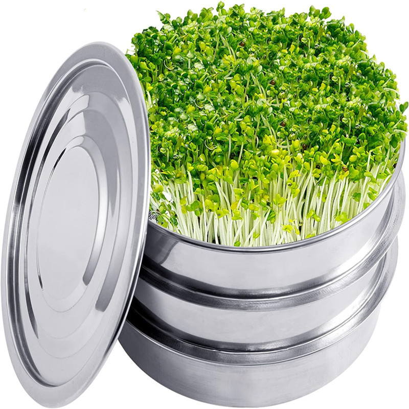 Комплект для проращивания раст – обзор и цена Hydroponic Kit
