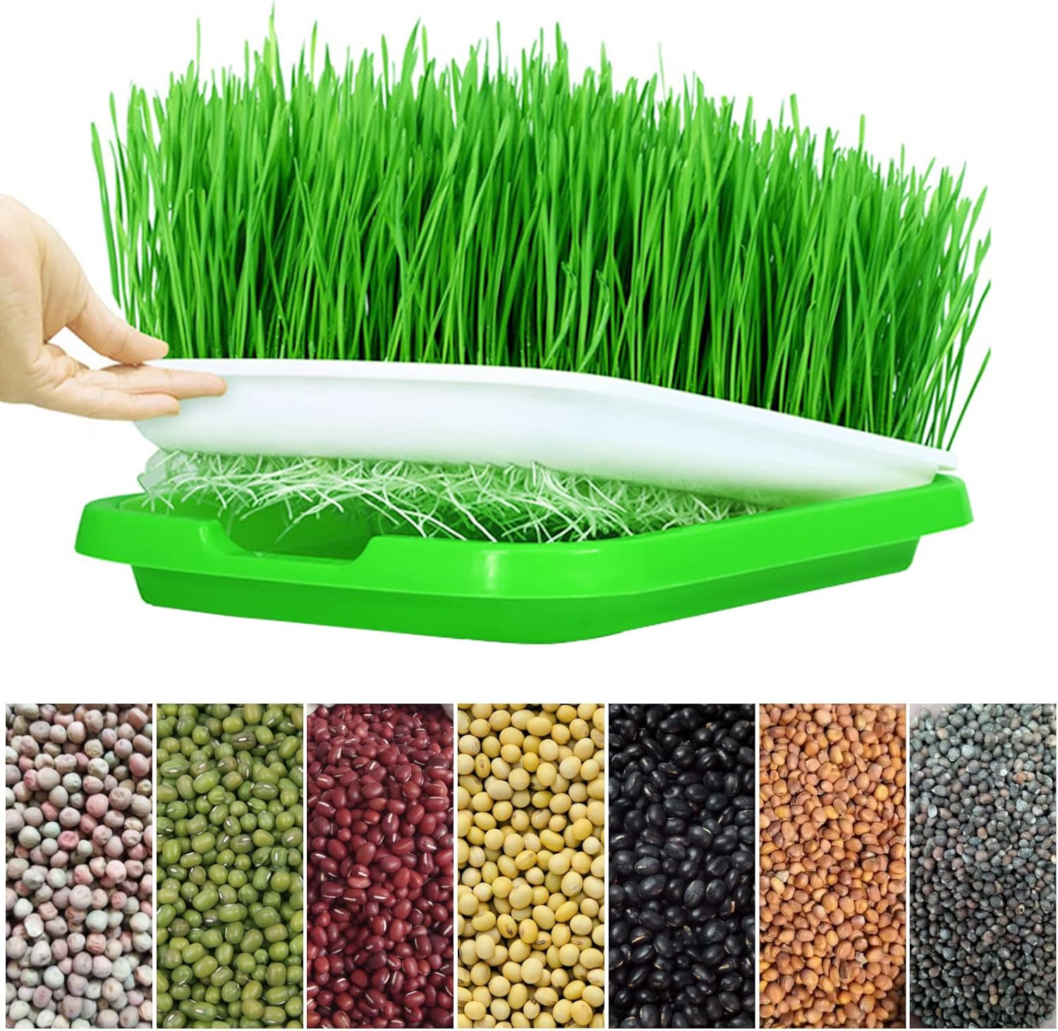 Лоток для ростков микрозелени, – обзор и цена Seed Starter Tray